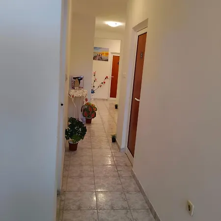 Pensiune за гости ники